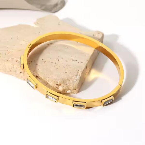Pulseras de Acero Inoxidable con Bisel de Circonita Cúbica Blanca enchapada oro de 18K fascinante