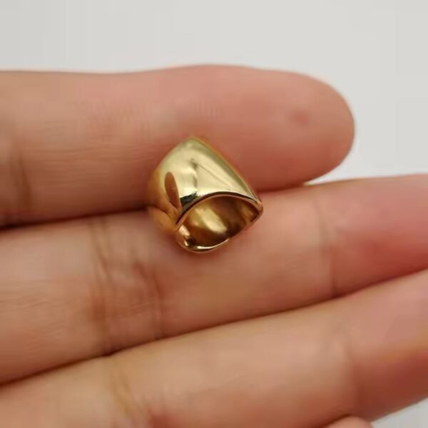 EarCuff Chunky Acero Inoxidable 316L Par cautivador
