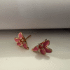 Plumeria