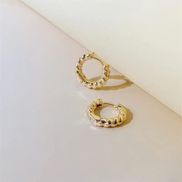 Argollas Acero Inoxidable 316L Forma croissant asombroso pequeñas